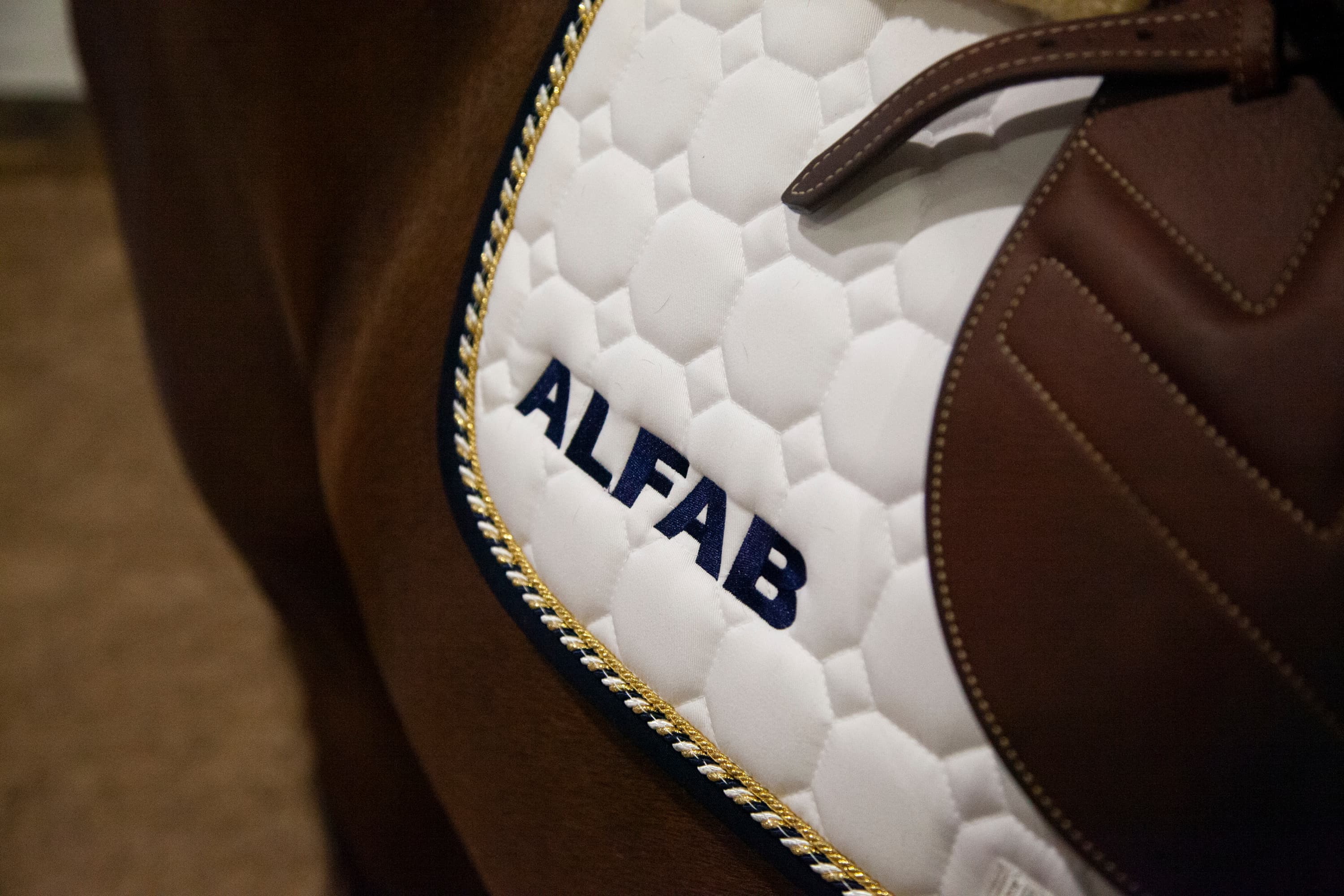 ALFAB Hästsport täcke