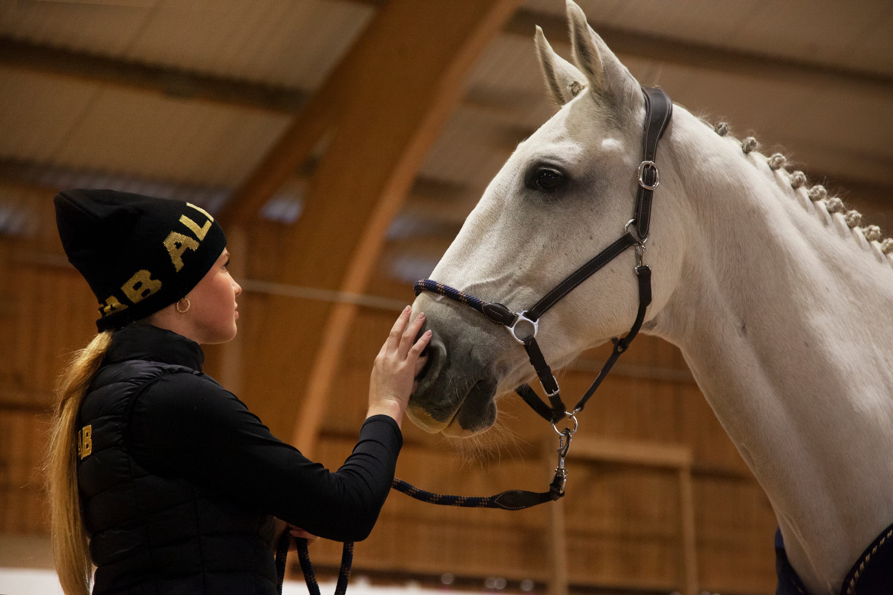 ALFAB Hästlastbilar - ALFAB Hästsport