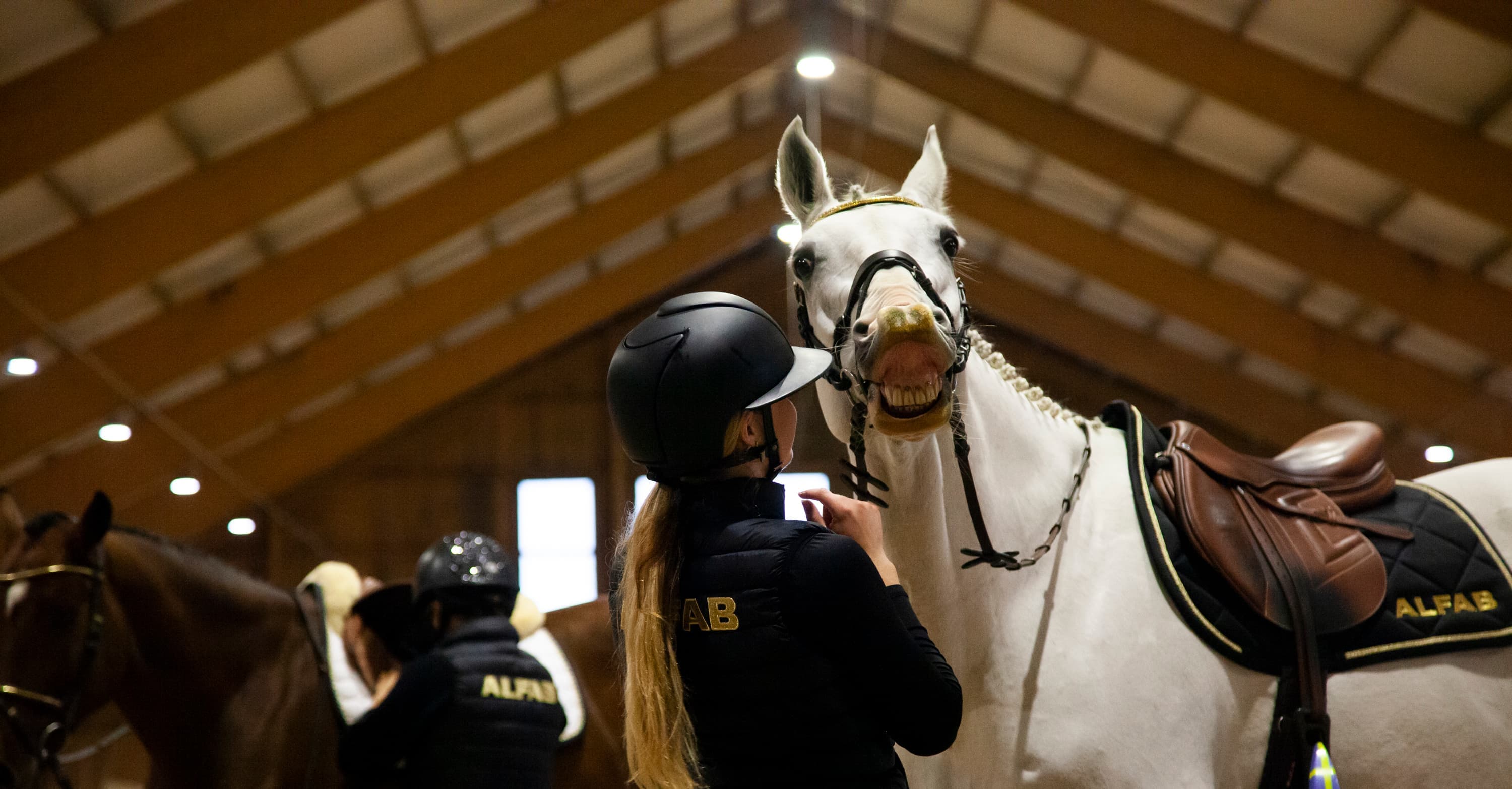 ALFAB Hästlastbilar - ALFAB Hästsport