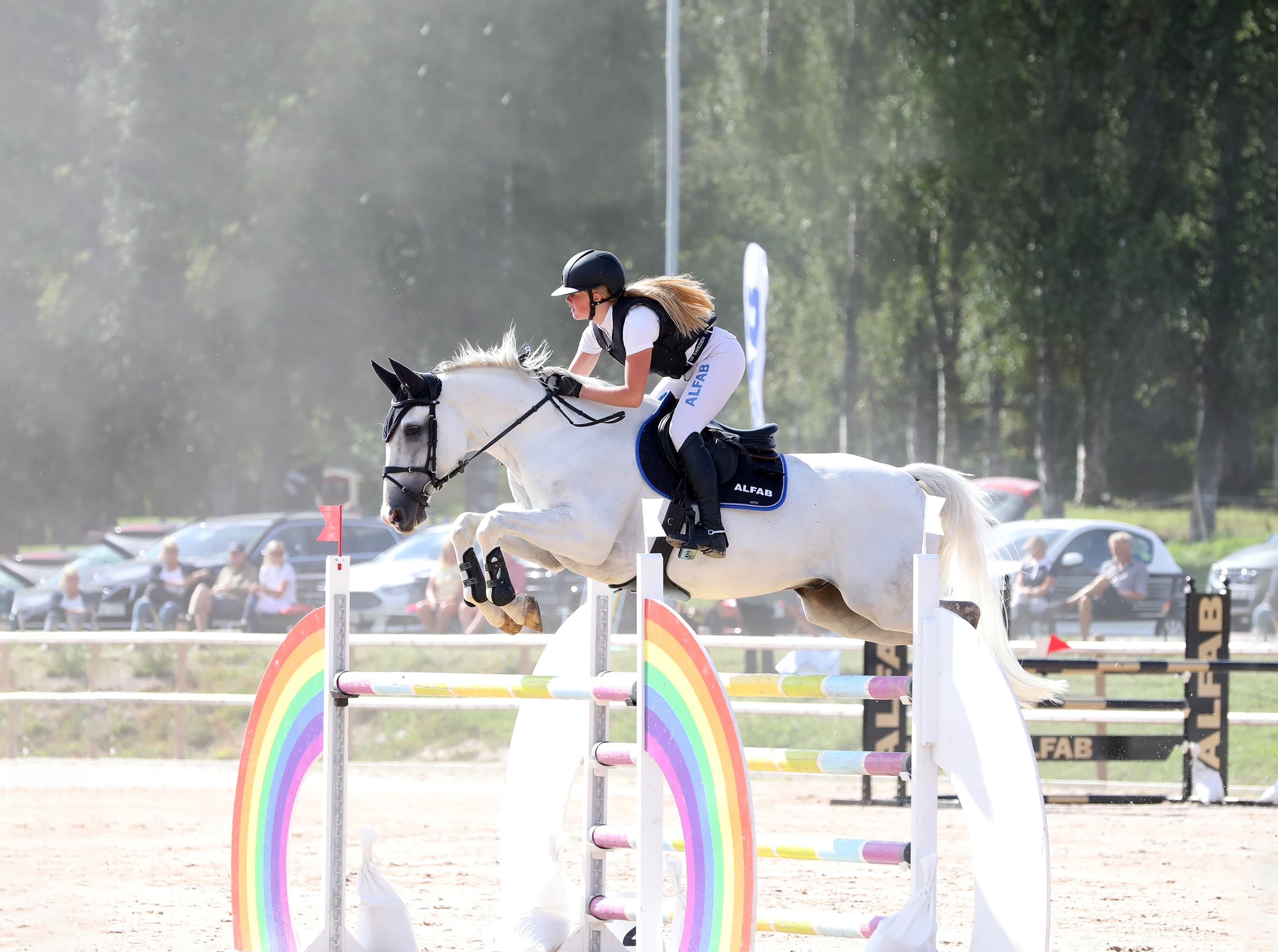 ALFAB Hästlastbilar - ALFAB Hästsport